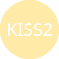 KAIST International Student Scholarship 2027