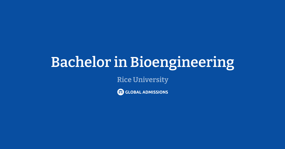 Bachelor in Bioengineering at Rice University | Global Admissions