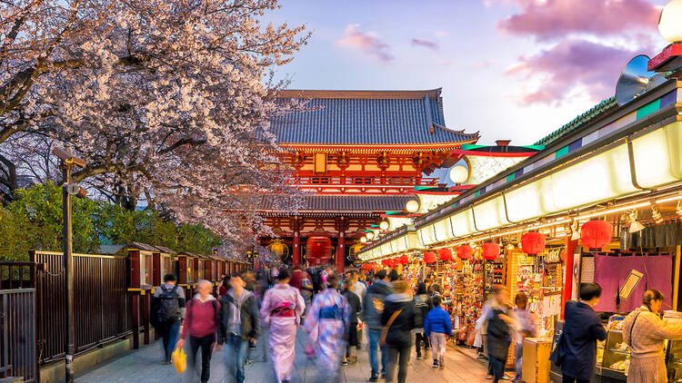 Study in Japan 2023: Ultimate Guide for International Students!